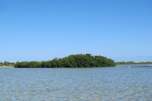 bird-island-01
