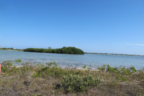 bird-island-02