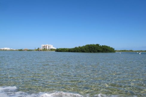 bird-island-03