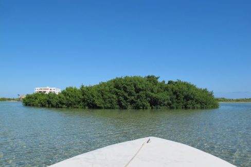 bird-island-04