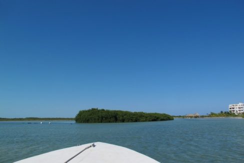 bird-island-05