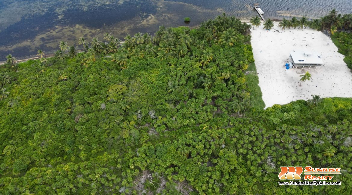 DJI_0754
