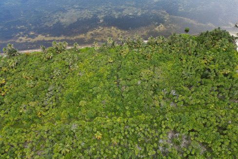 DJI_0755