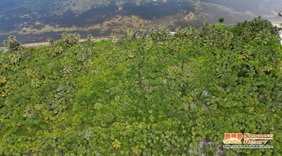 DJI_0755 copy
