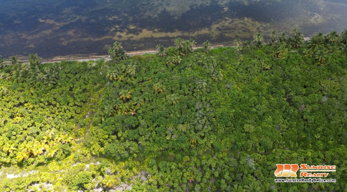 DJI_0756