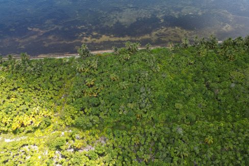 DJI_0756