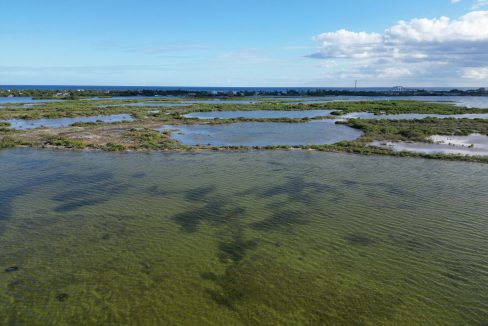DJI_0372