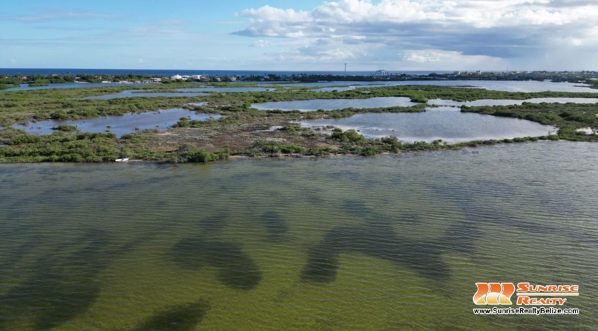 DJI_0375