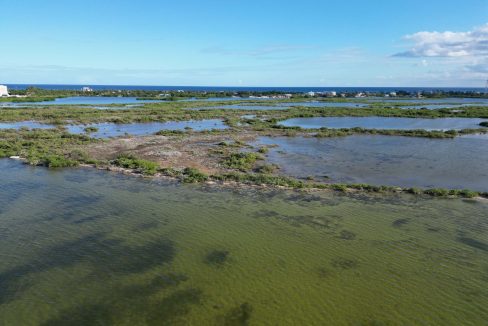 DJI_0381