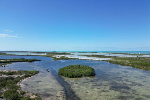 DJI_0513