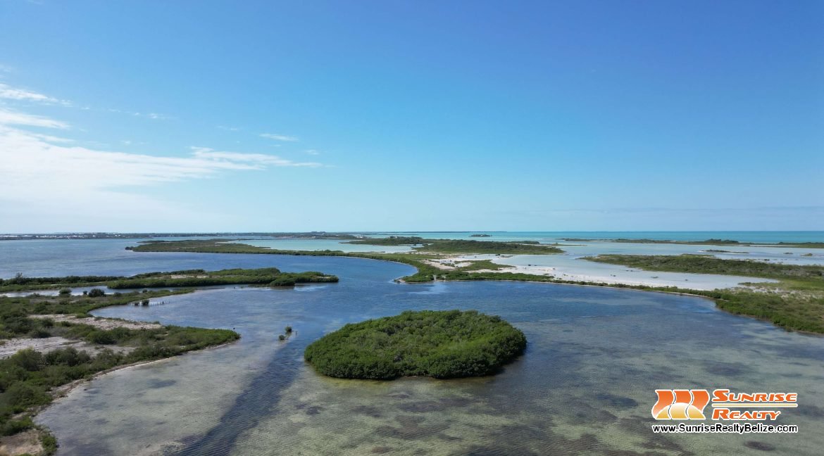 DJI_0514