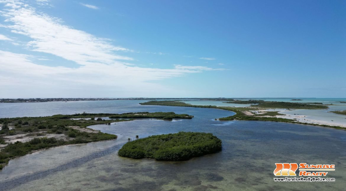 DJI_0515