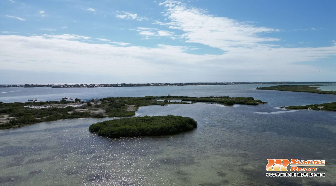 DJI_0518