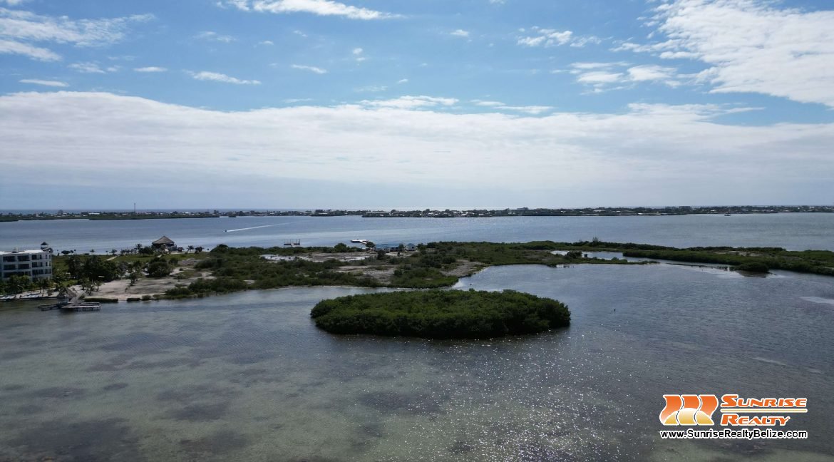 DJI_0519