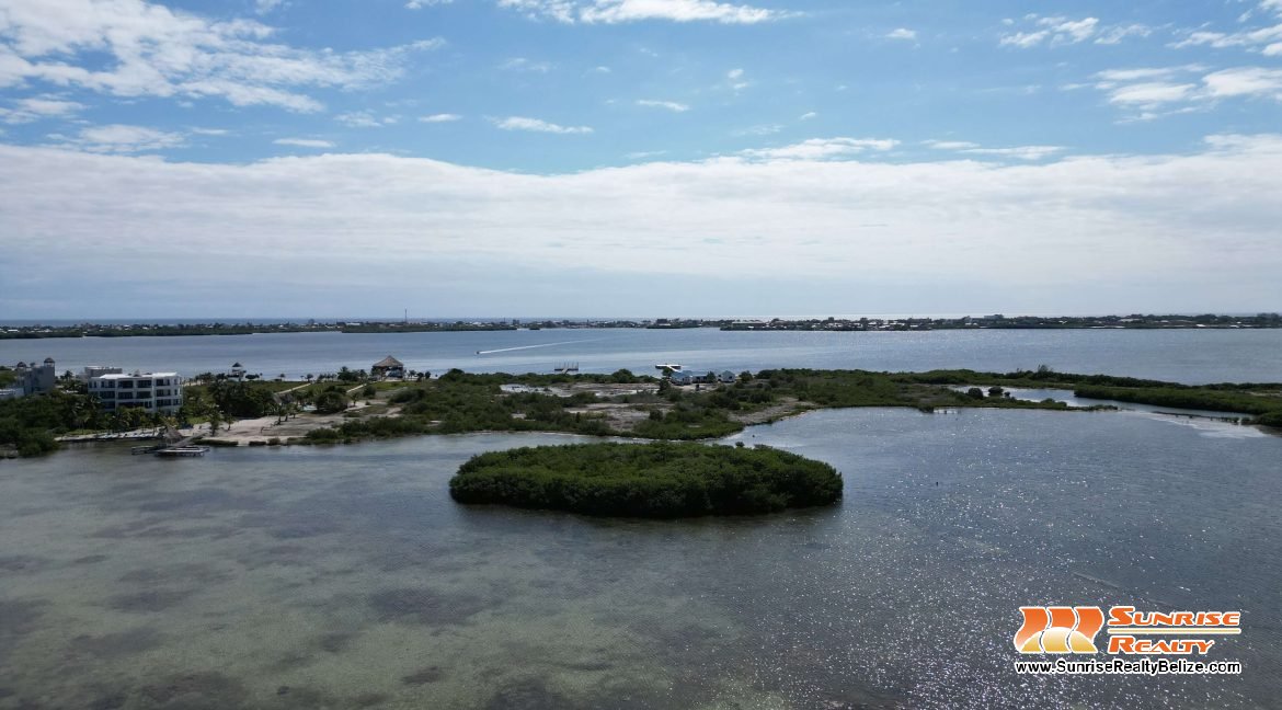 DJI_0520
