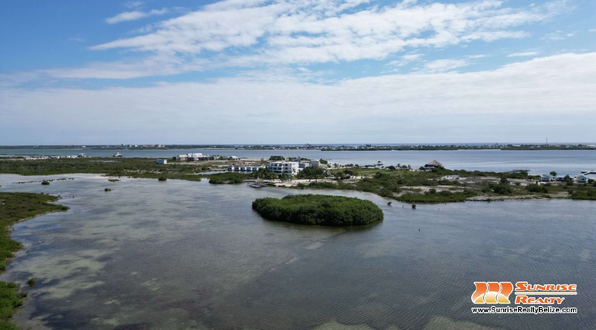 DJI_0524
