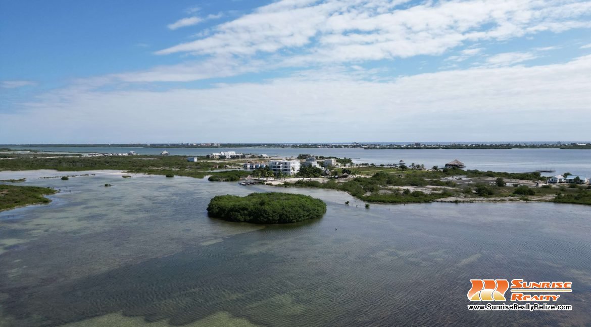 DJI_0526