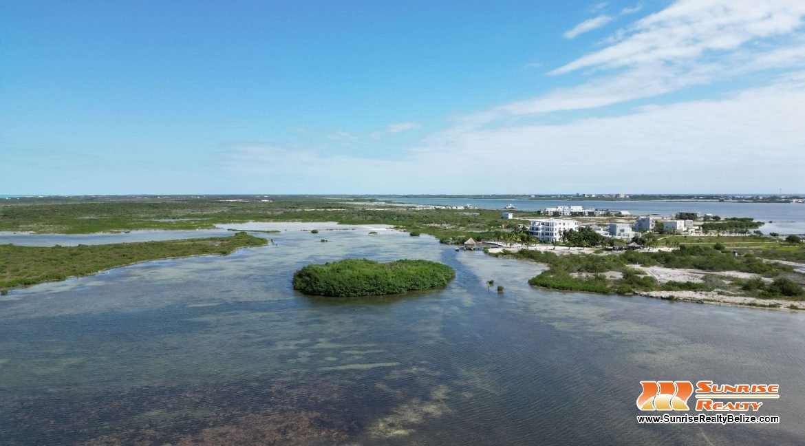 DJI_0529