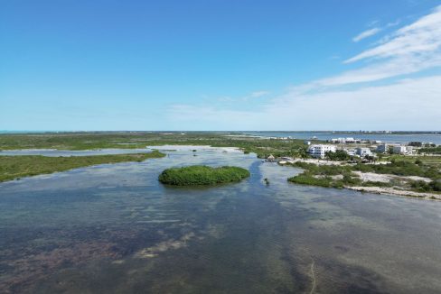 DJI_0530