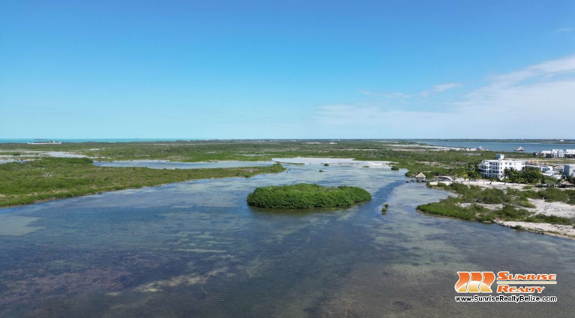 DJI_0531