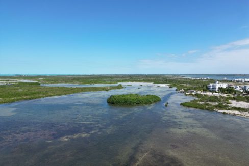 DJI_0531