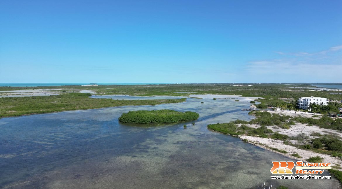 DJI_0533
