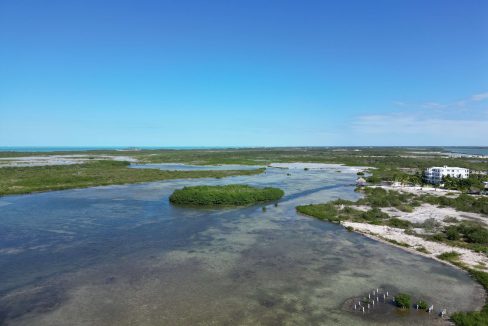 DJI_0533