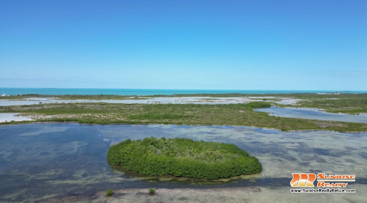DJI_0542