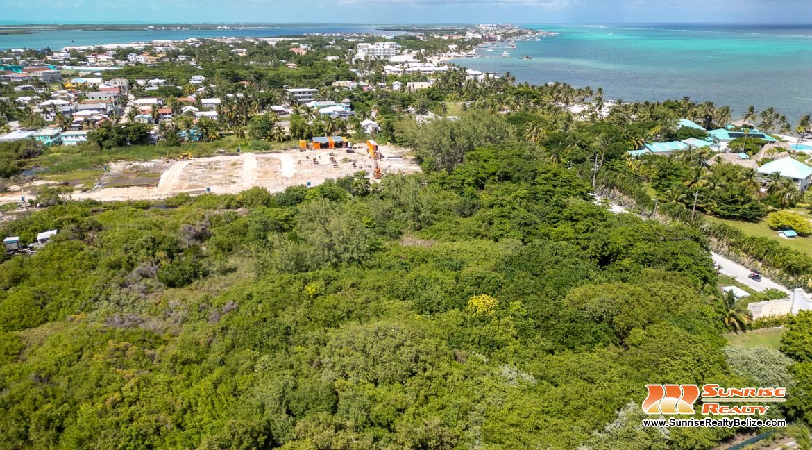 DJI_0542