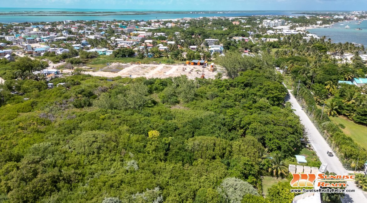 DJI_0543