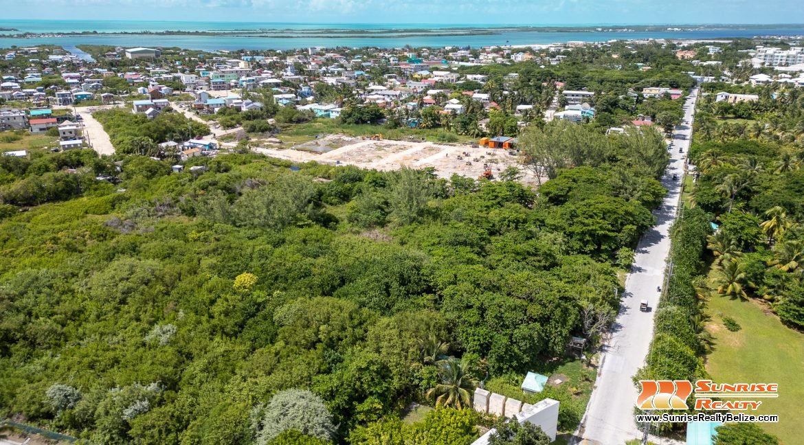 DJI_0544