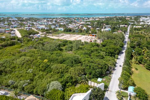 DJI_0544