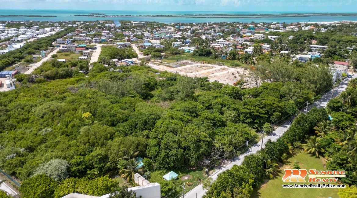 DJI_0545