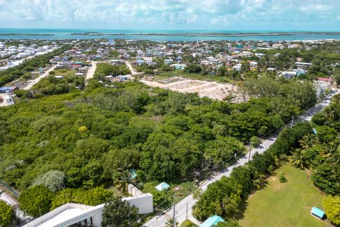 DJI_0545