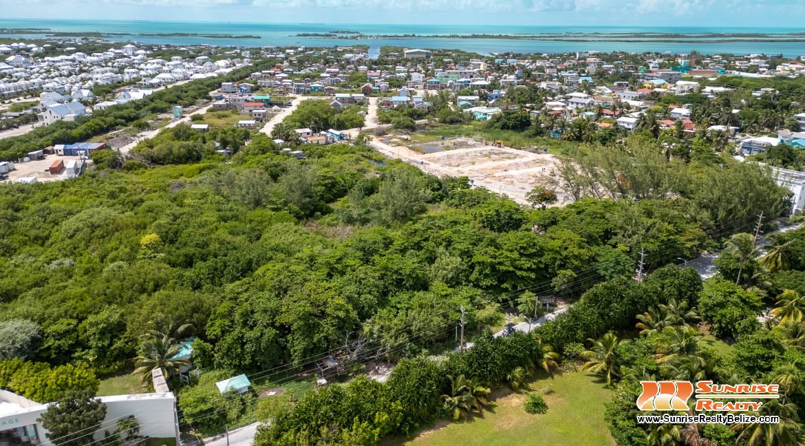 DJI_0546