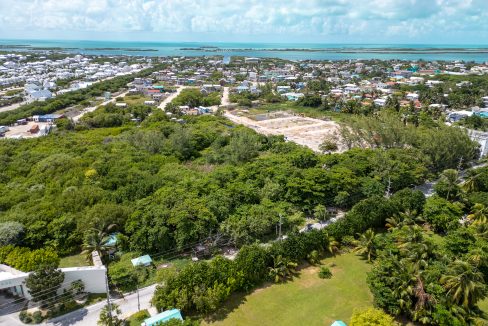 DJI_0546