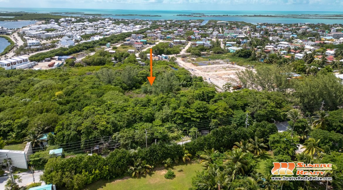 DJI_0547