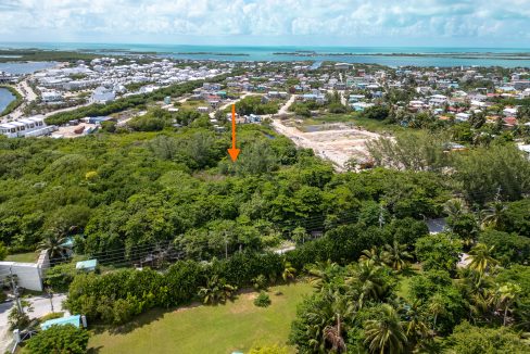 DJI_0547