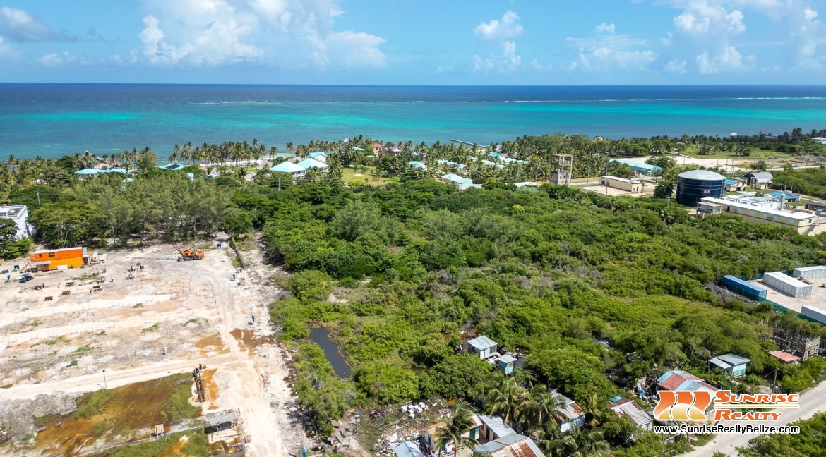 DJI_0558