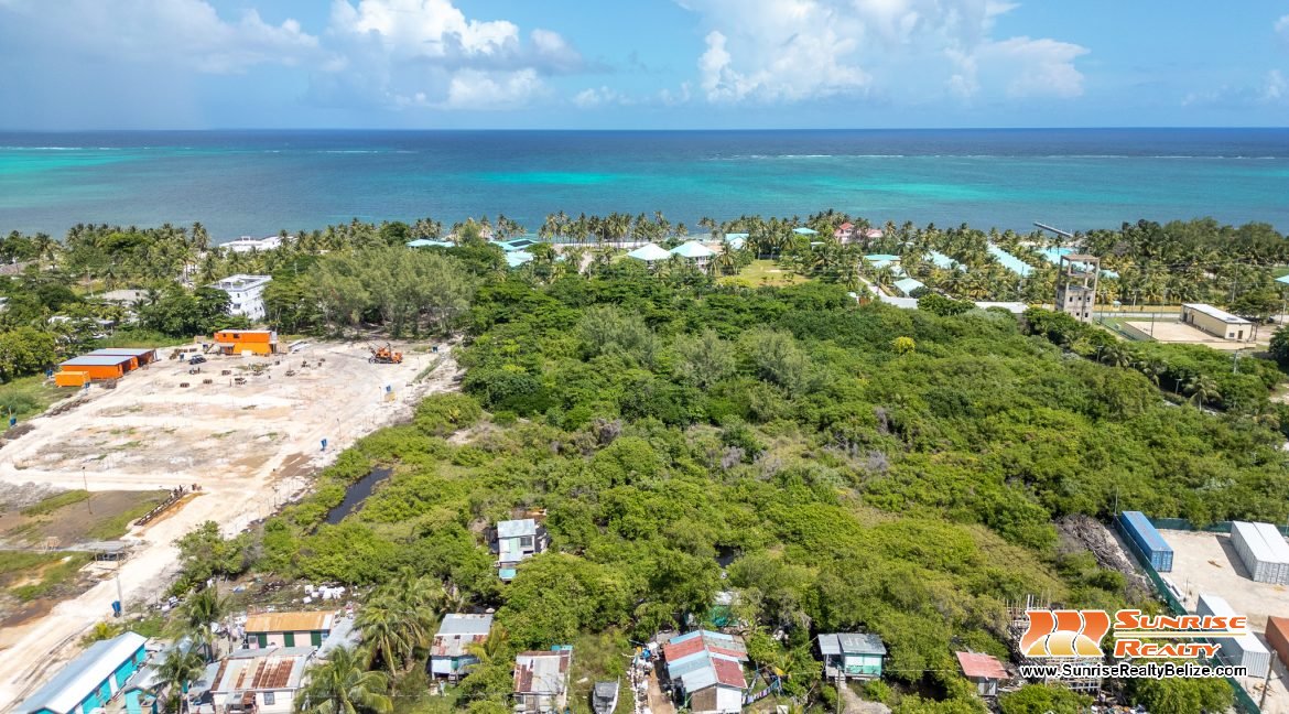 DJI_0559