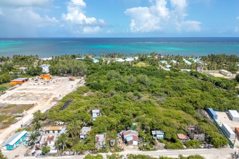 DJI_0559