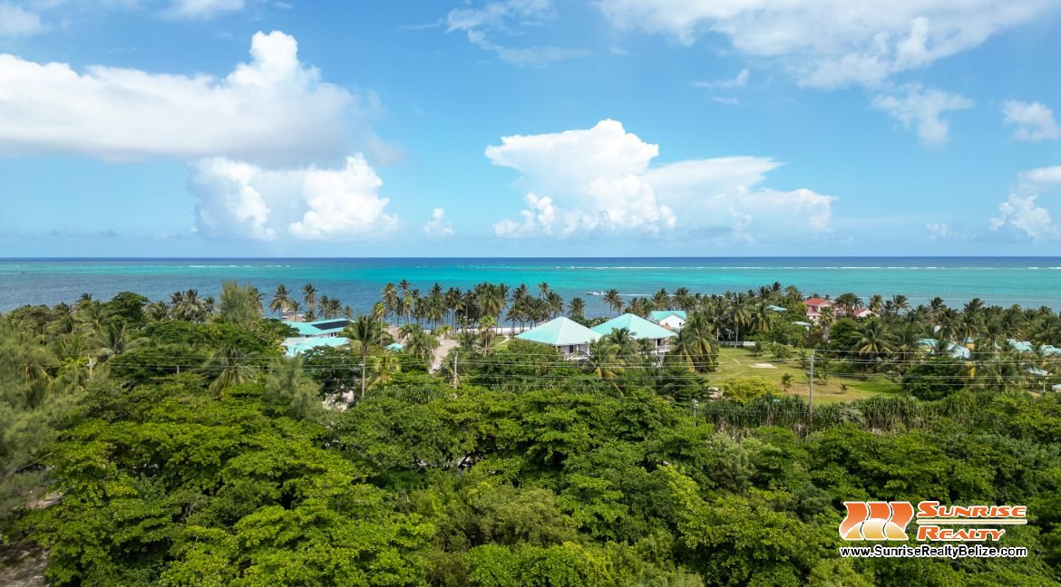 DJI_0584