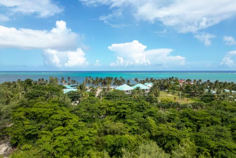 DJI_0584