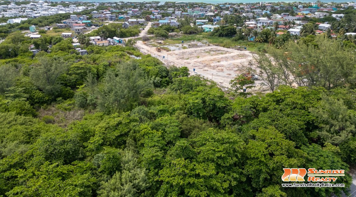 DJI_0586