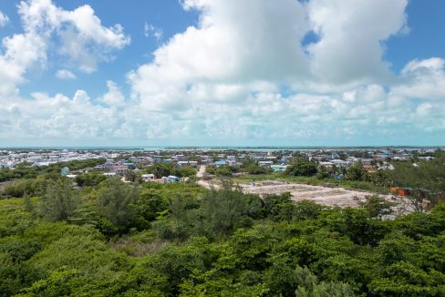 DJI_0588