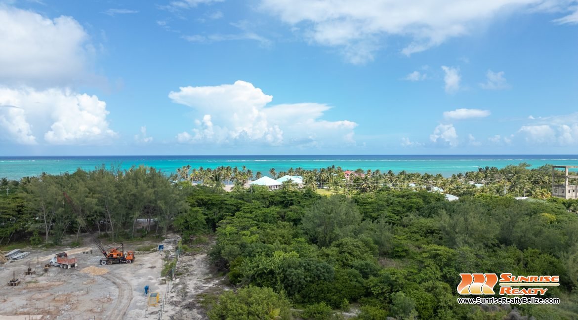 DJI_0591