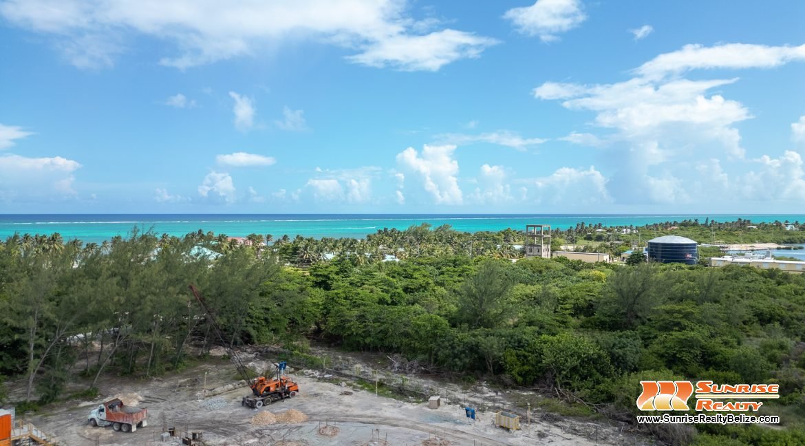 DJI_0593