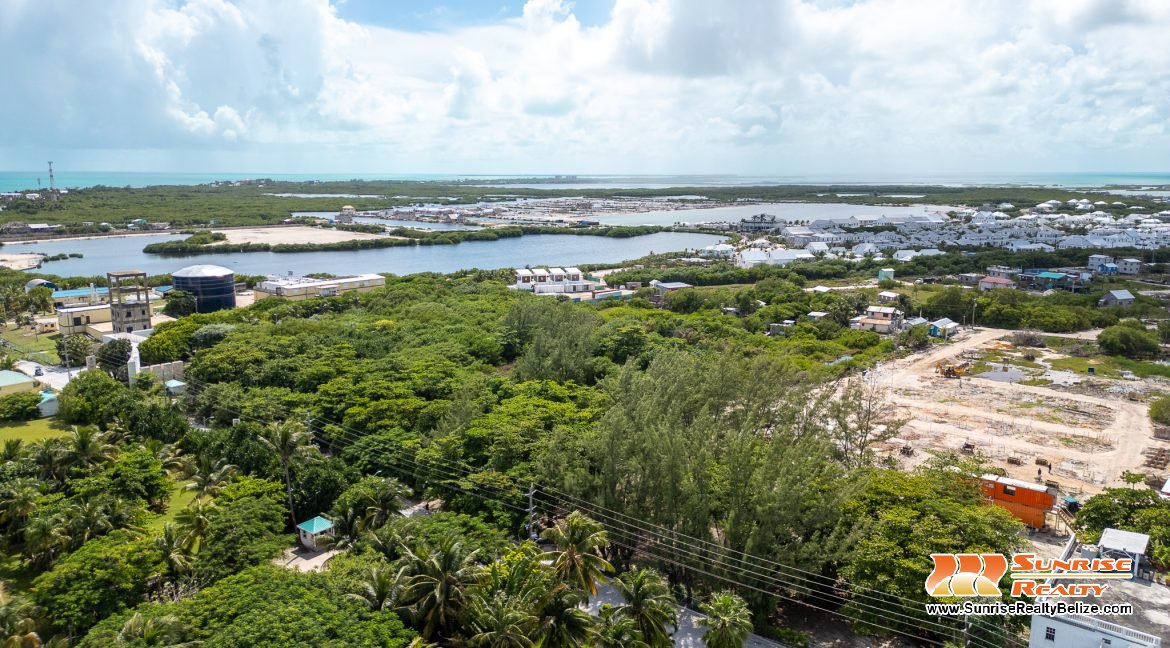 DJI_0598