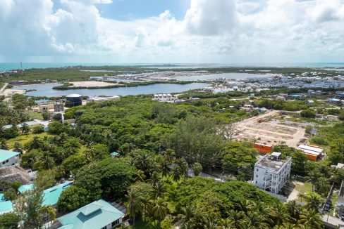 DJI_0600