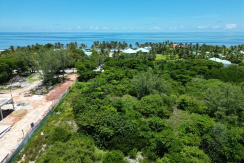 DJI_0805